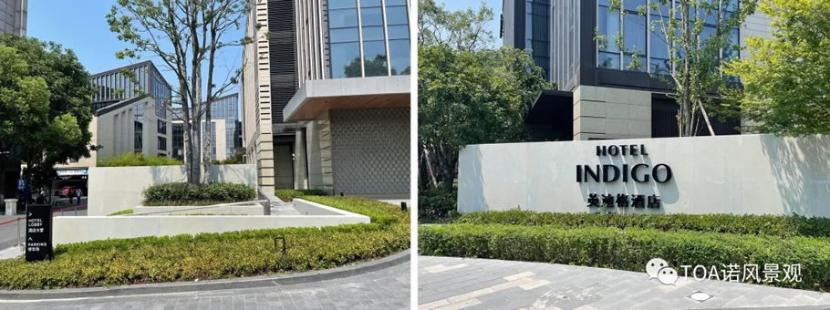 杭州上城英迪格酒店丨中国杭州丨TOA 诺风景观设计咨询（上海）有限公司-40