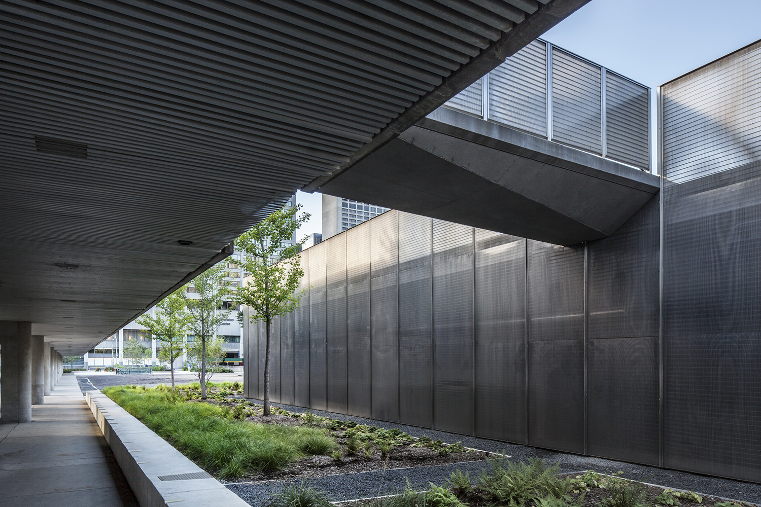 多伦多 Nathan Phillips Square 更新 · 现代公共空间的典范-20