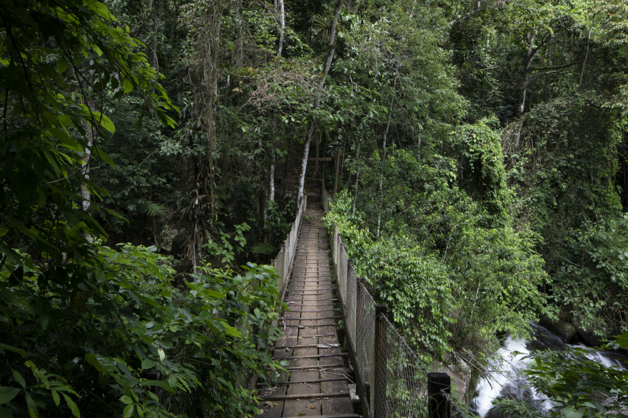 丨巴西帕拉丨Kiti Vieira Arquitetura-37