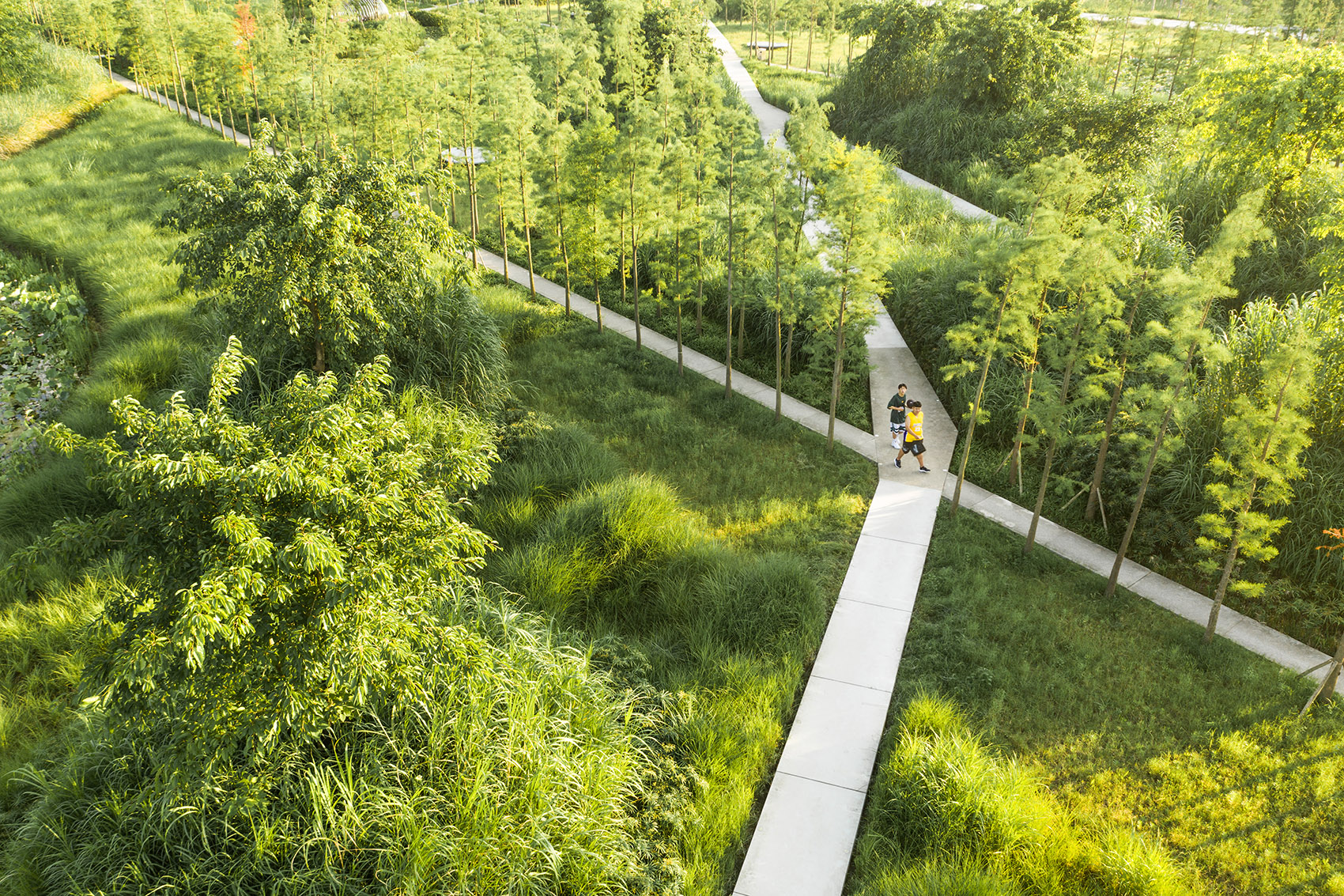 重庆潼南大佛寺湿地公园 / 土人设计-79