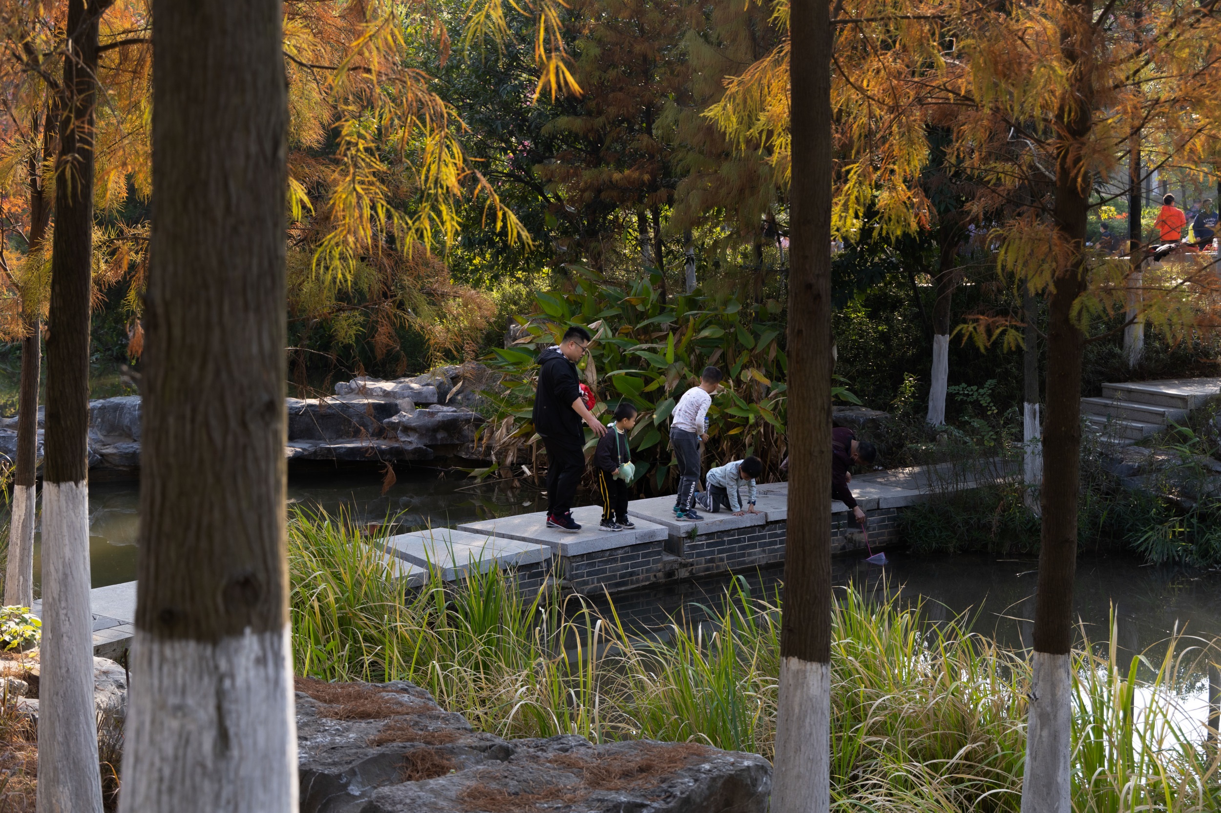 三山森林公园丨中国佛山丨SWA休斯敦工作室-38