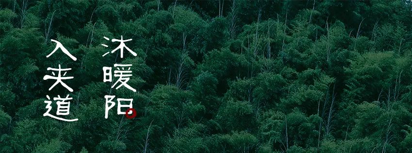 贵阳融创·云麓长林 | 自然之约,心灵之旅-47