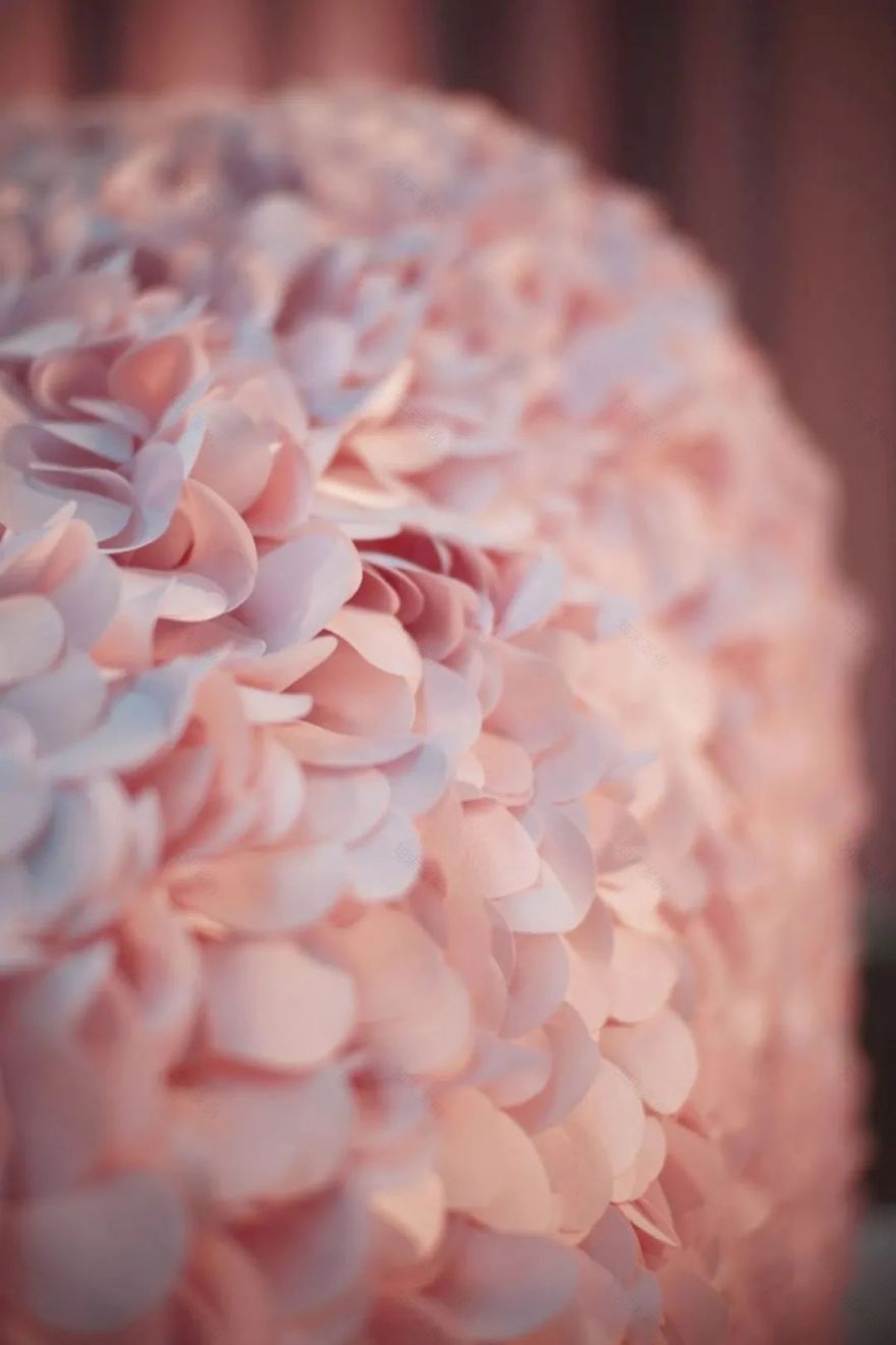 Hortensia 花瓣椅丨Ron Arad-7