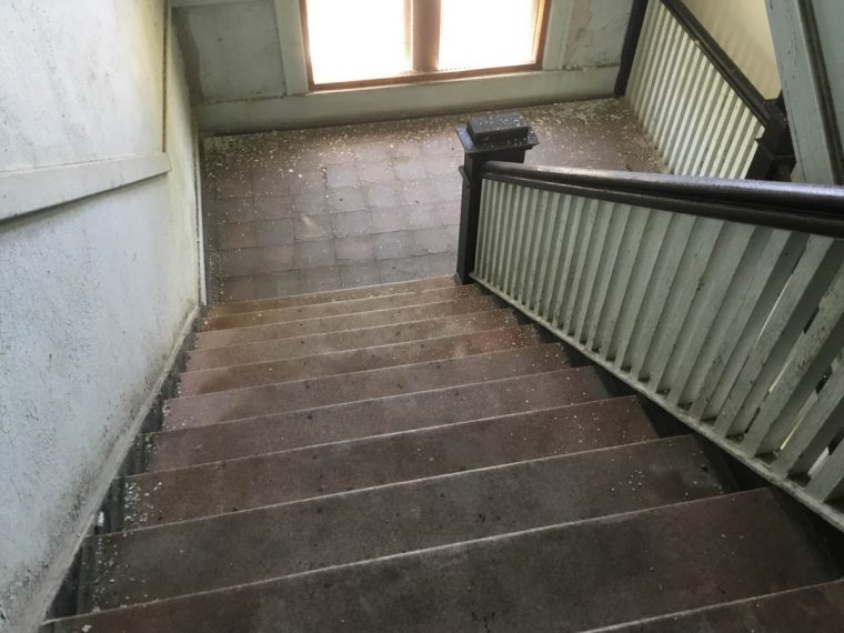 丨美国奥古斯塔丨Smith Dalia Architects（SDA）-12