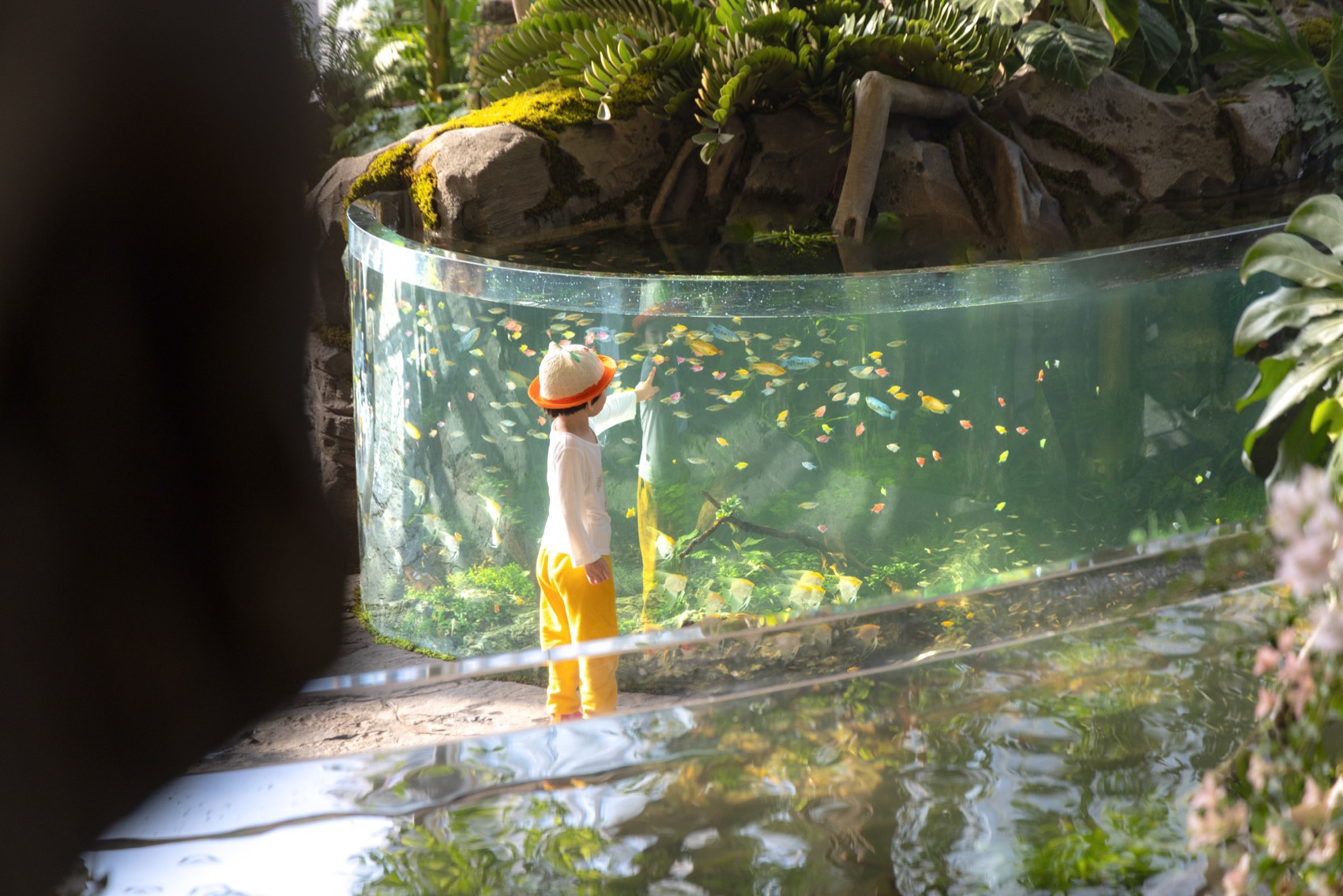 重庆光环花园城 · 世界树丨中国重庆丨WTD纬图设计,喜随设计等多家团队-51