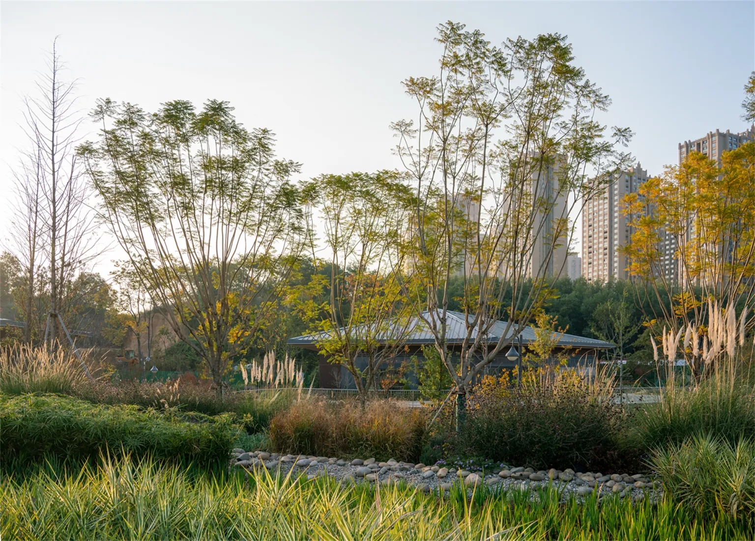 昆明呈贡沐春湖和泛春湖水环境整治丨中国昆明-40