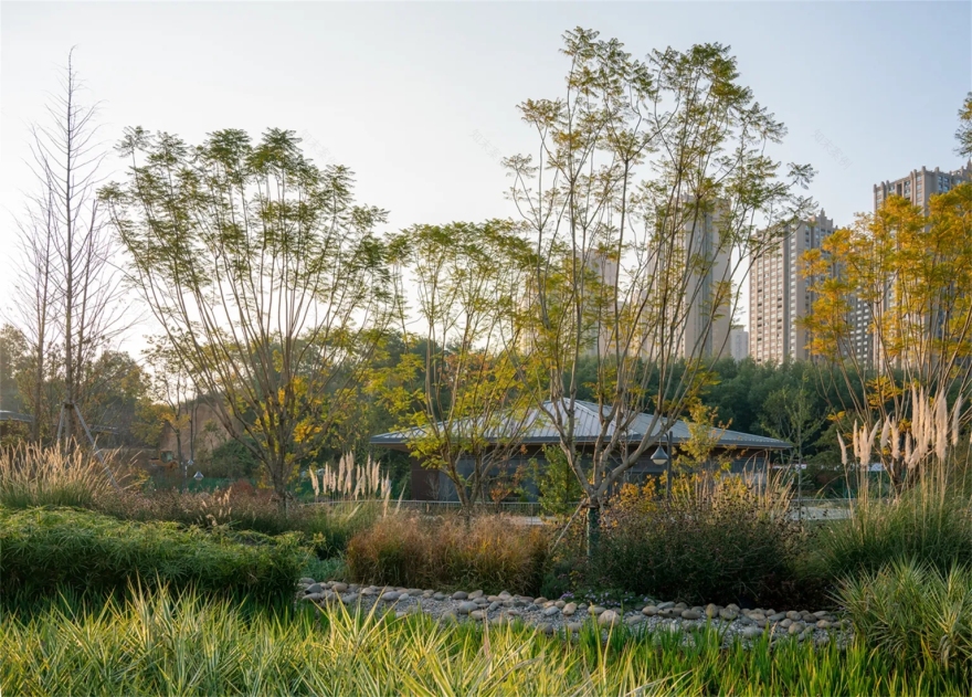 昆明呈贡沐春湖和泛春湖水环境整治丨中国昆明-40