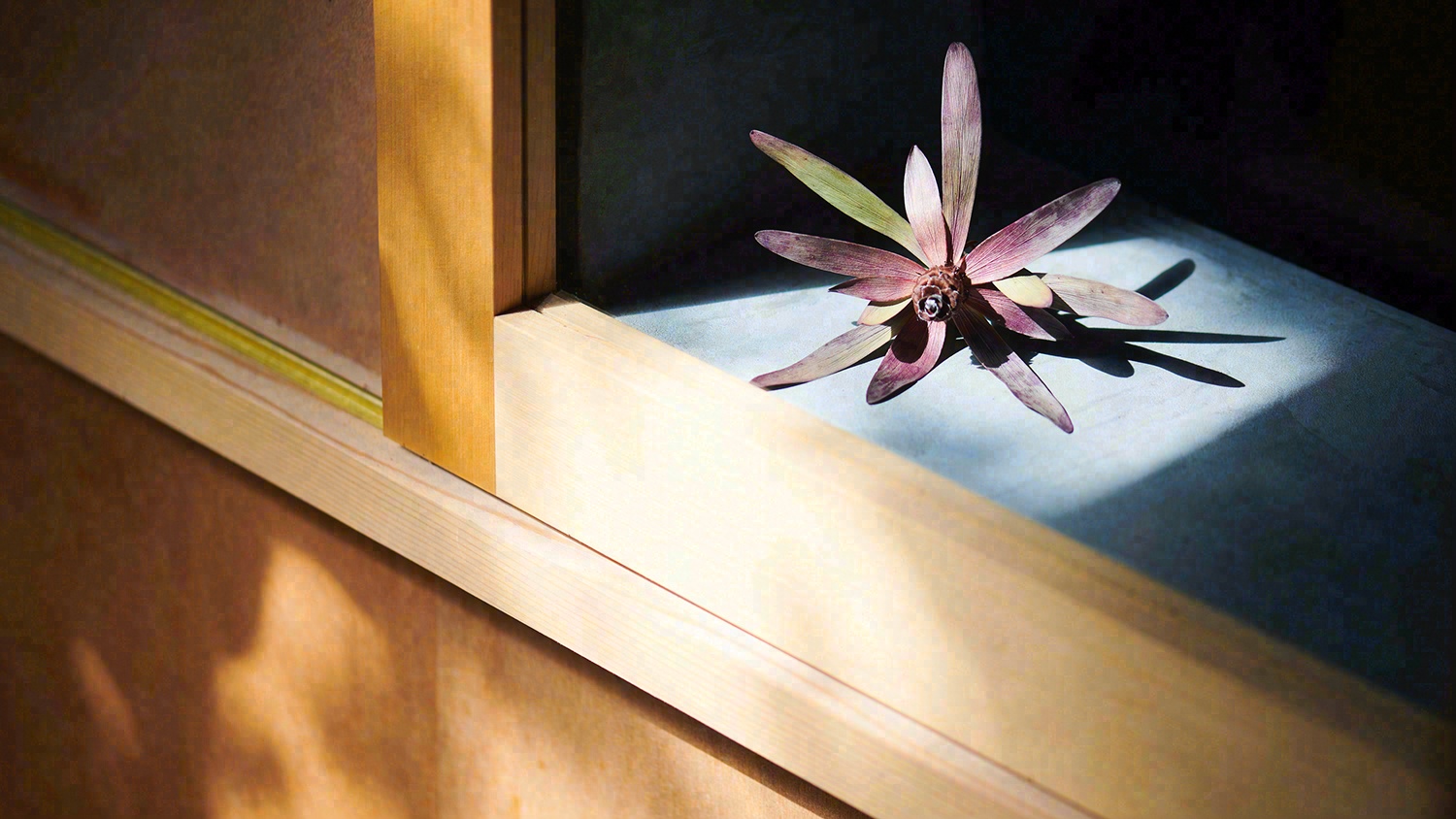 一乘寺,奈良总公司丨日本奈良丨Hitotomori 建筑设计事务所-59