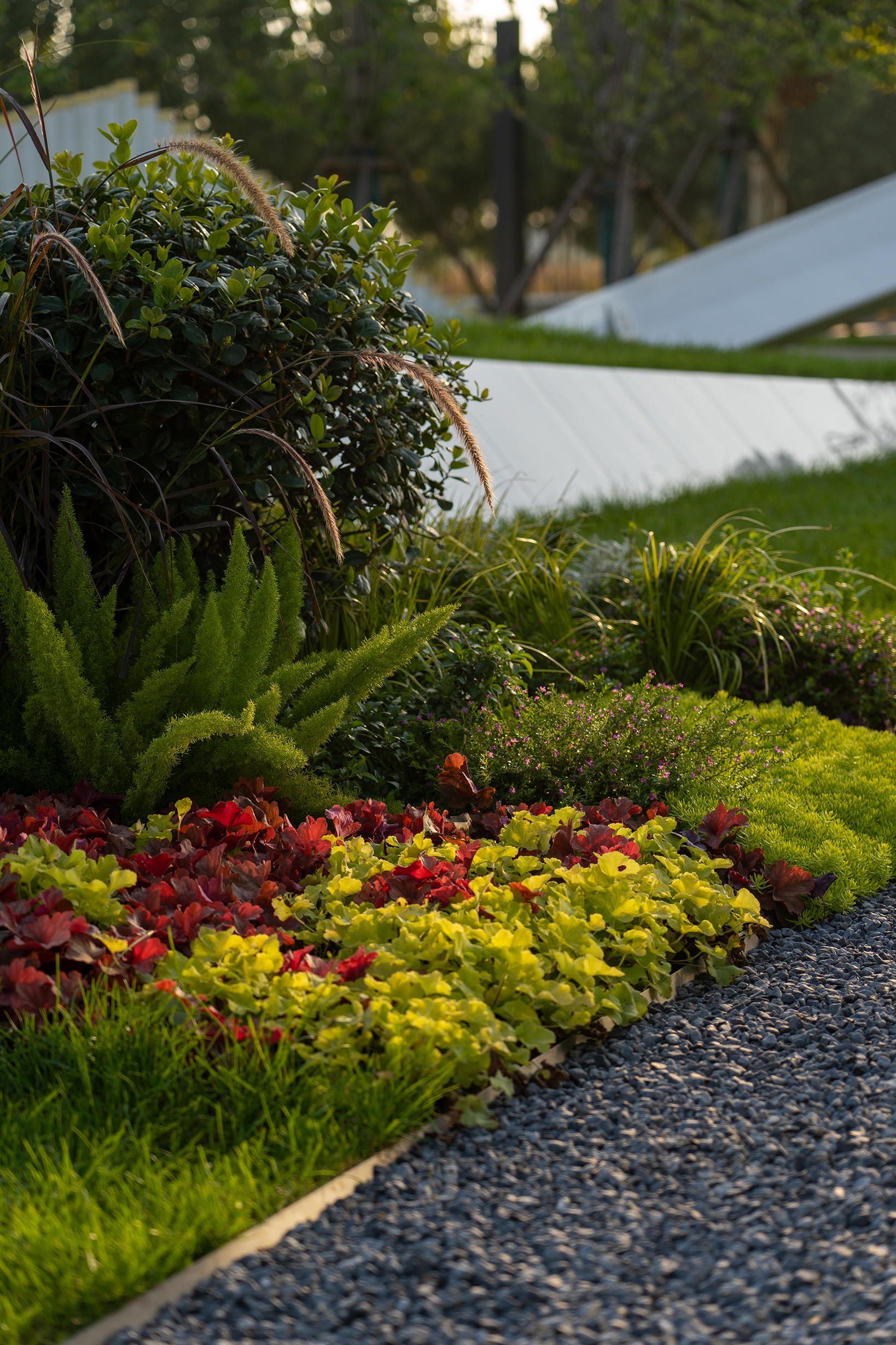 乐陵·天泰城（示范区）-44