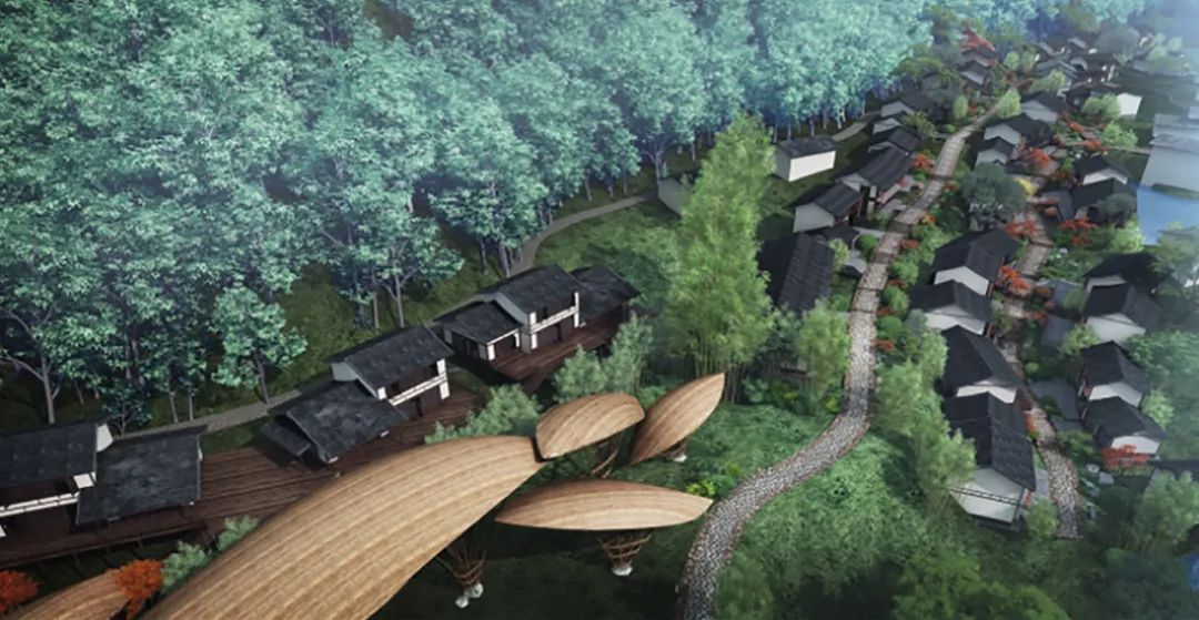 葛仙山景区丨中国上饶-35