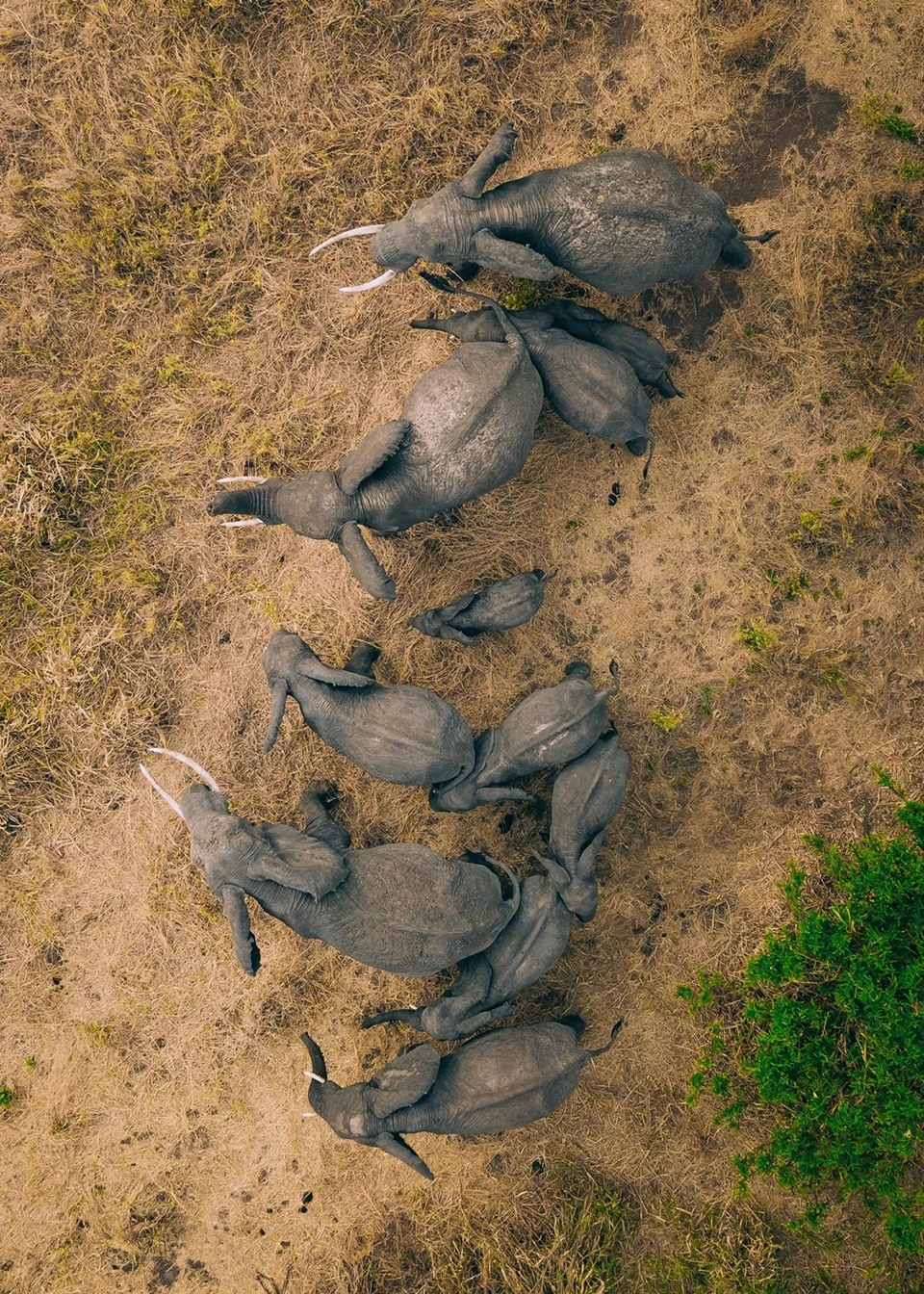 航拍系列,Martin Sanchez-23