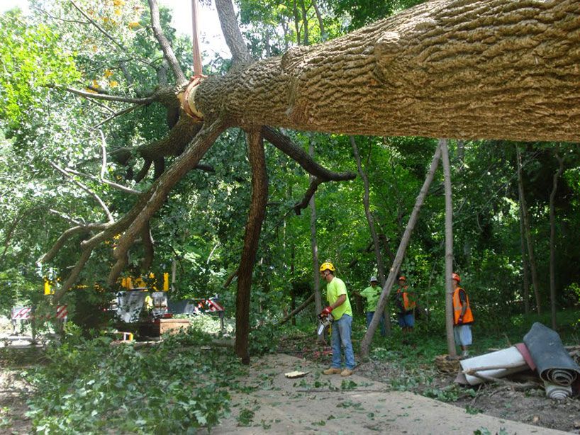 金丝楠木打造的艺术空间·Chop Stick 公园公共休息室-15