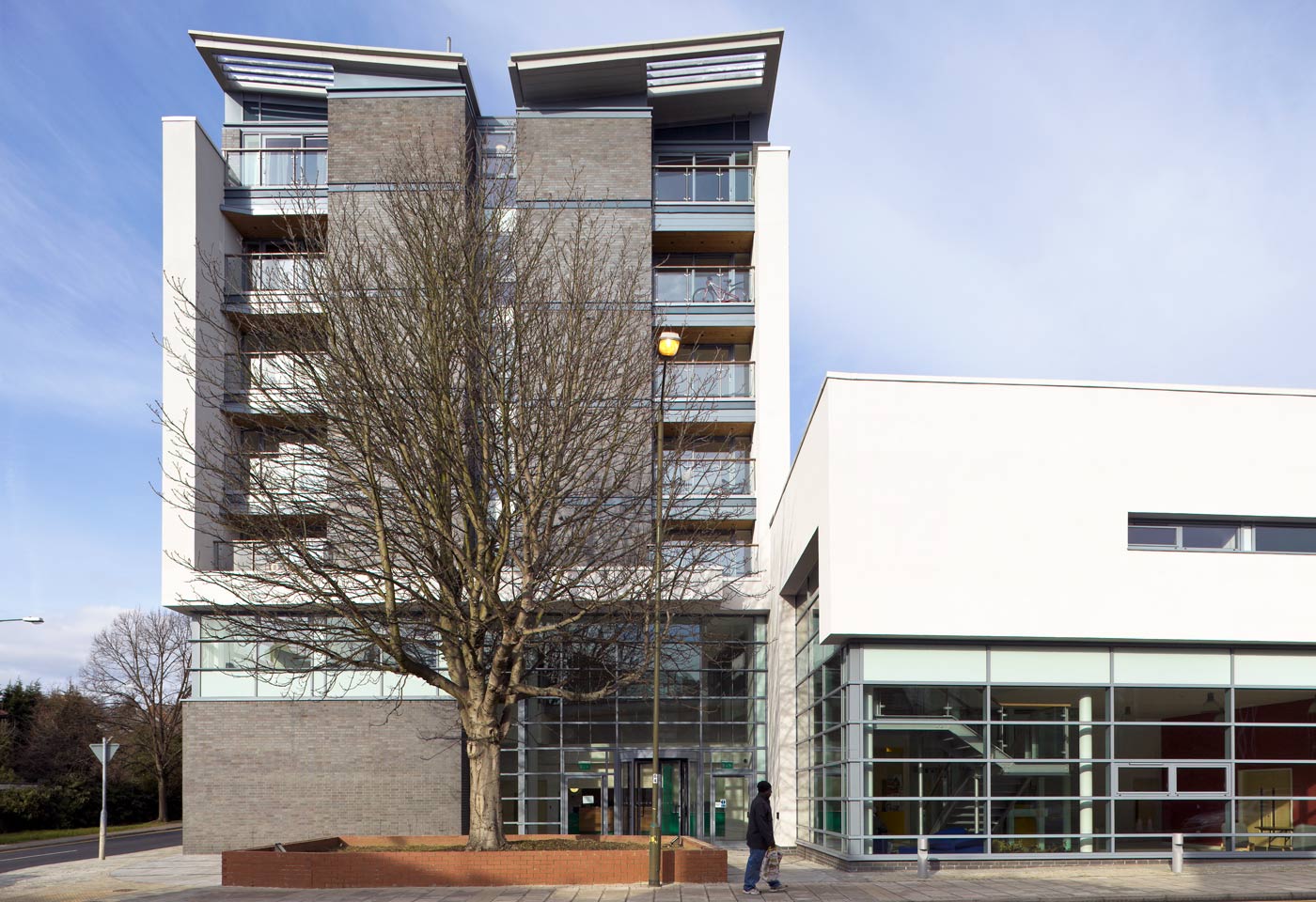 丨Levitt Bernstein-40