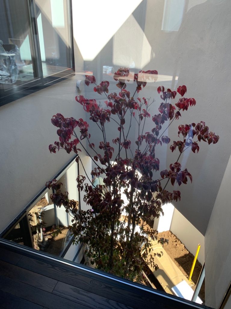 美しが丘の住宅20丨LEVEL Architects-13