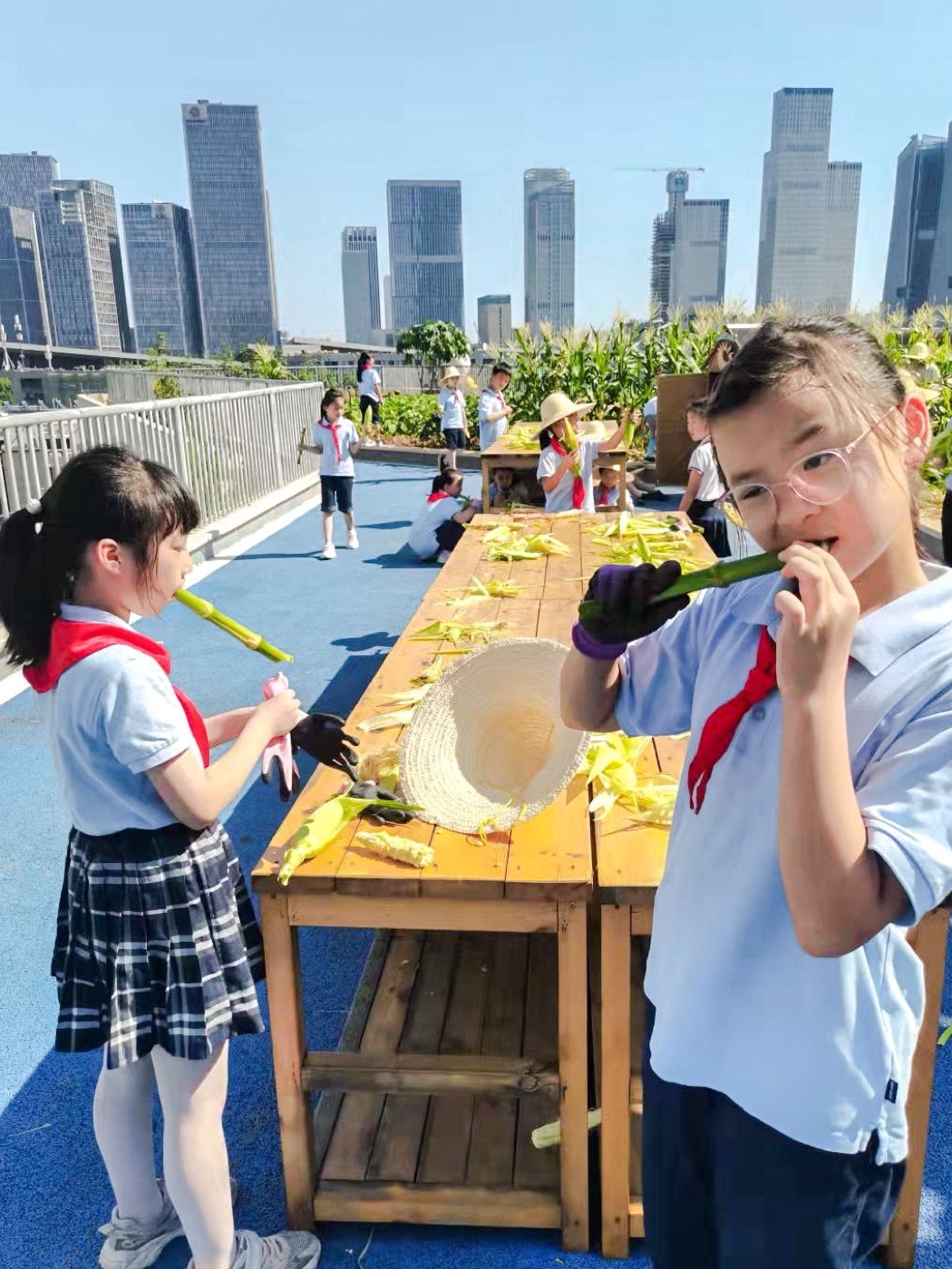 南京志远外语学校天空之园丨中国南京丨南京林业大学风景园林学院团队-24