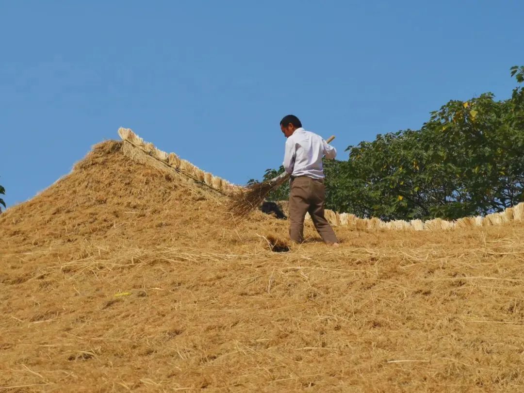 纪念冯纪忠先生诞辰110周年丨通往何陋轩的三条路径——重读冯纪忠先生设计文本-619