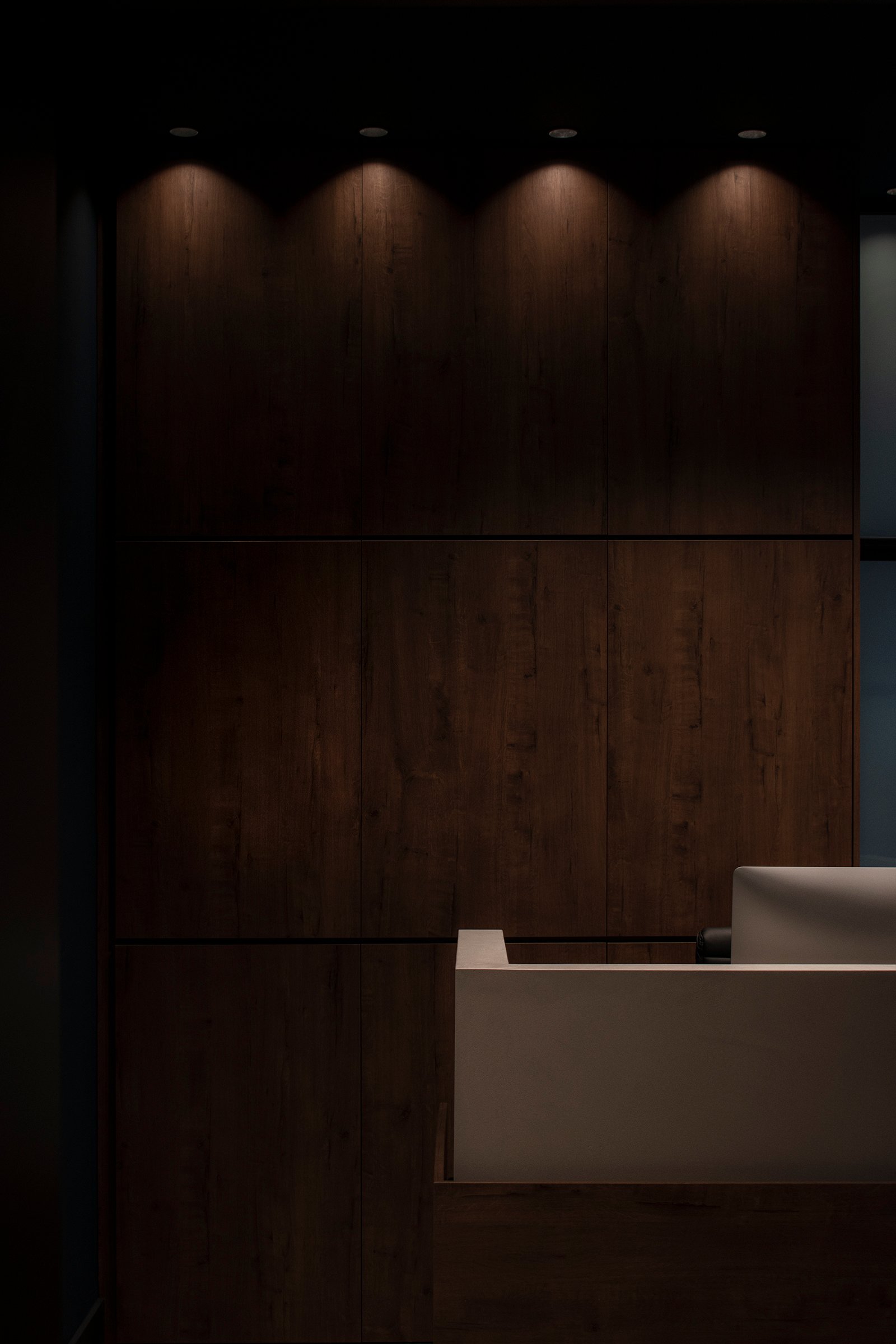 拉马洛律师办公室丨西班牙马拉加丨Paco Lago Interioriza-11