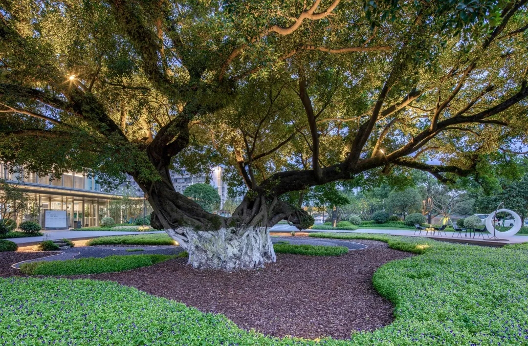 温州远洋泊云庭示范区景观-11