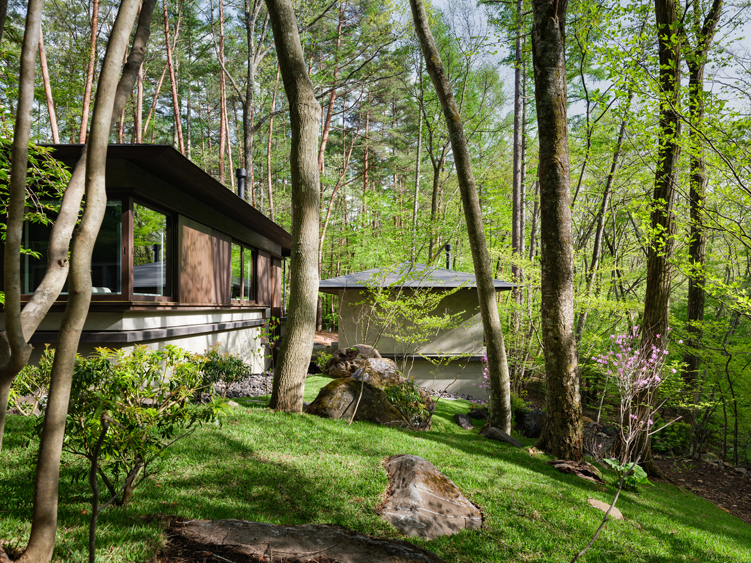 红松林中的然居丨日本丨奥野公章建筑设计事务所-14