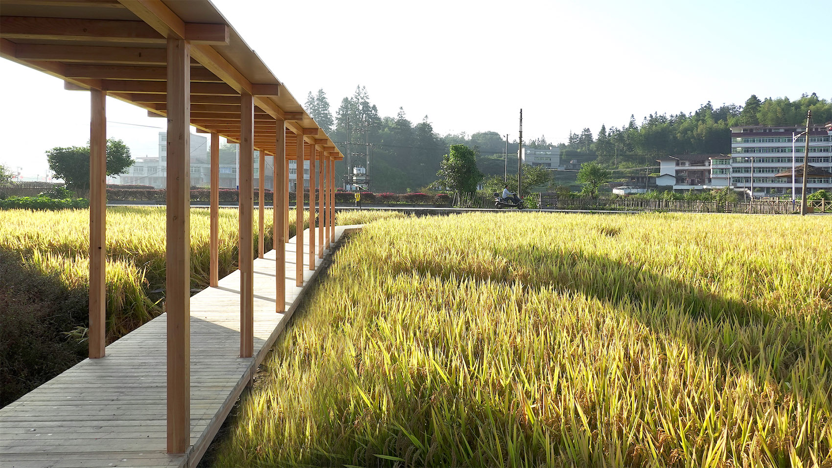 青石寨的稻亭和稻场,福建 / 个个世界+先进建筑实验室-89