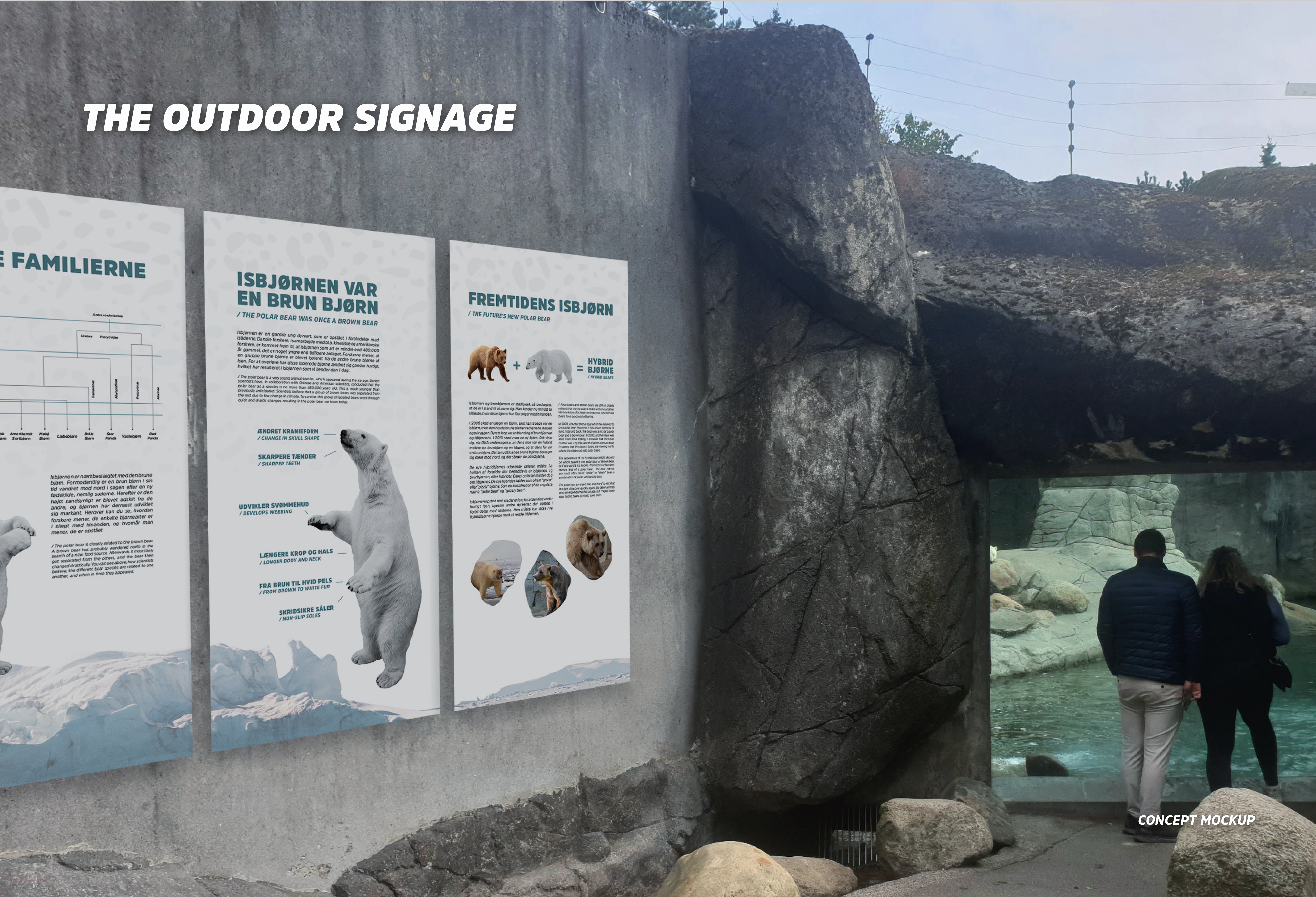 奥尔堡动物园北极熊标识牌-12