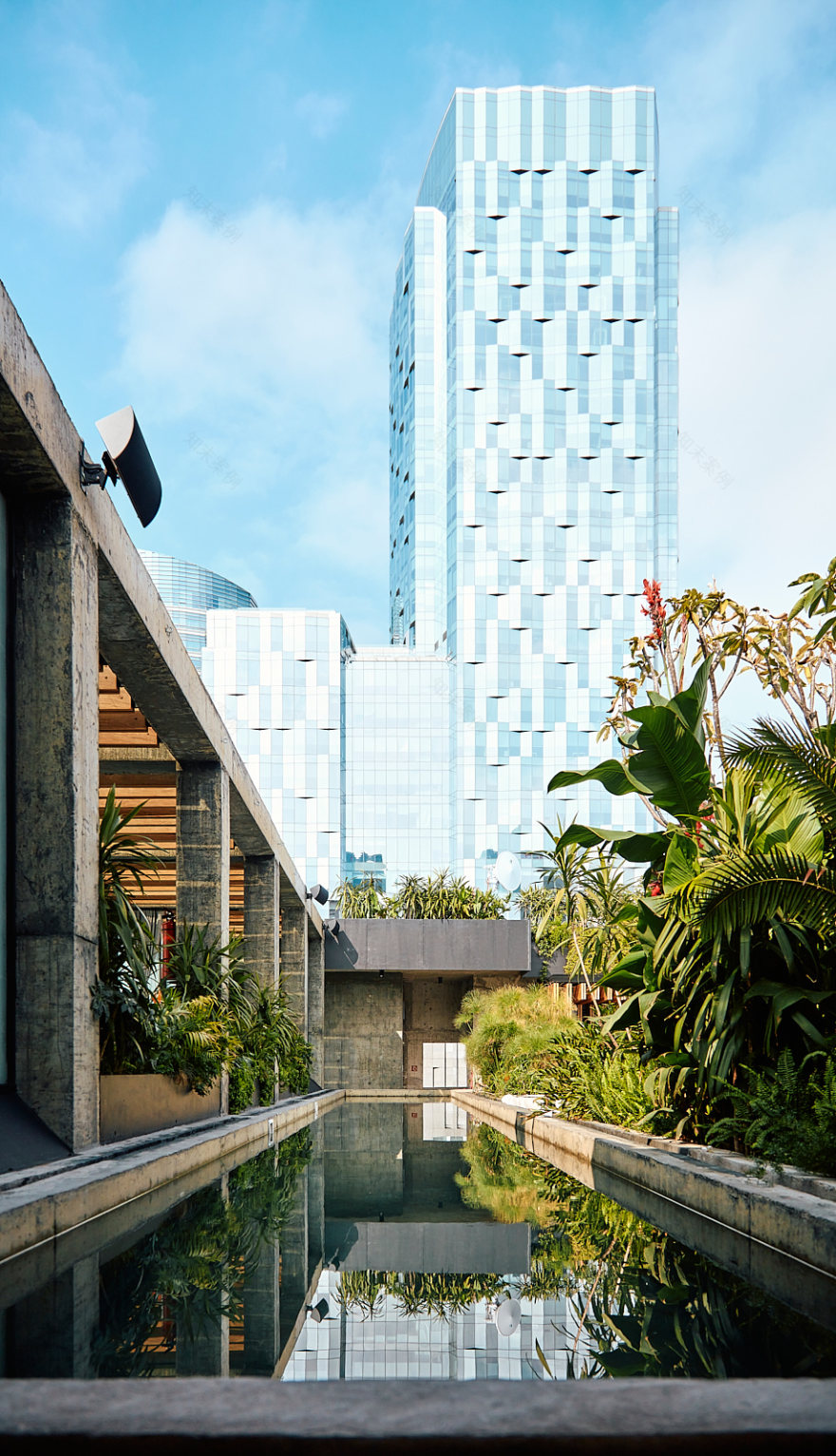 伏尔加酒店丨墨西哥墨西哥城丨JSa 的 Aisha Ballesteros-17