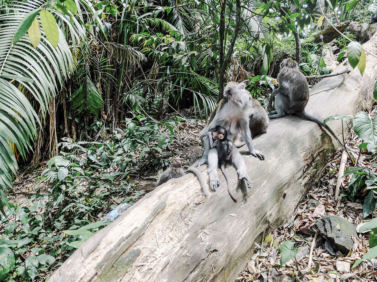 摄影大师的旅行画卷 | Isabella Thaller 的 Voyage-25