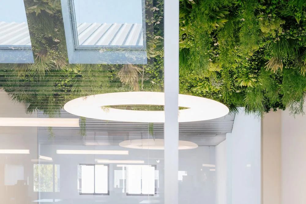 马德里 SIDERAL 工业厂房改造办公空间丨西班牙马德里丨gon architects-16