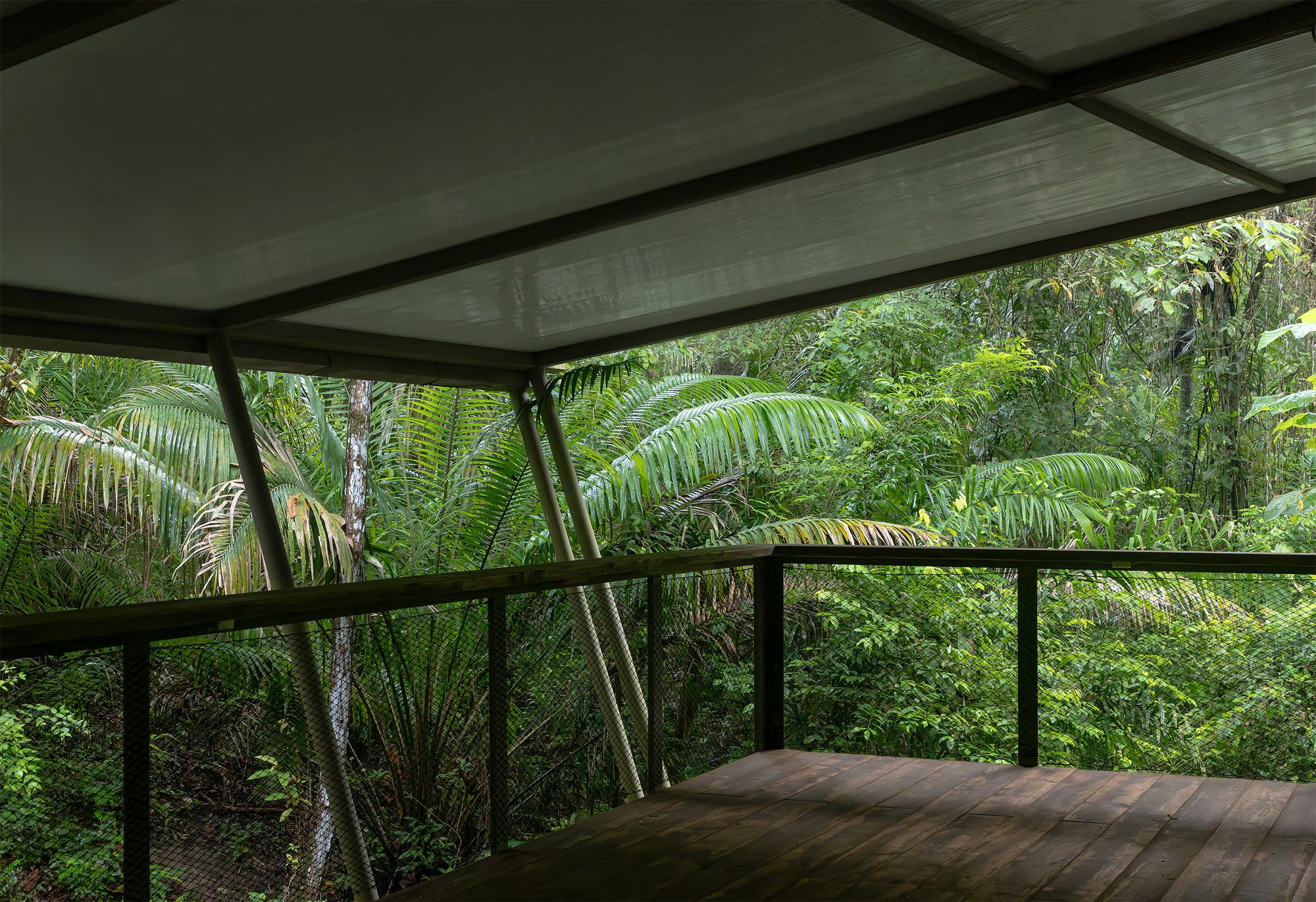 Refuge in the Rainforest - Tour Guide Training Center / Héctor Ayarza + Estudio Garúa-26