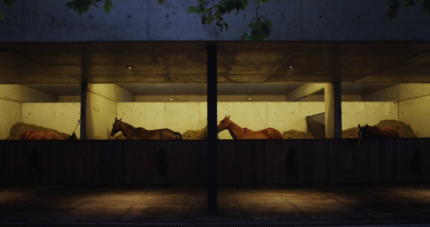 菲格拉斯马球马厩-38