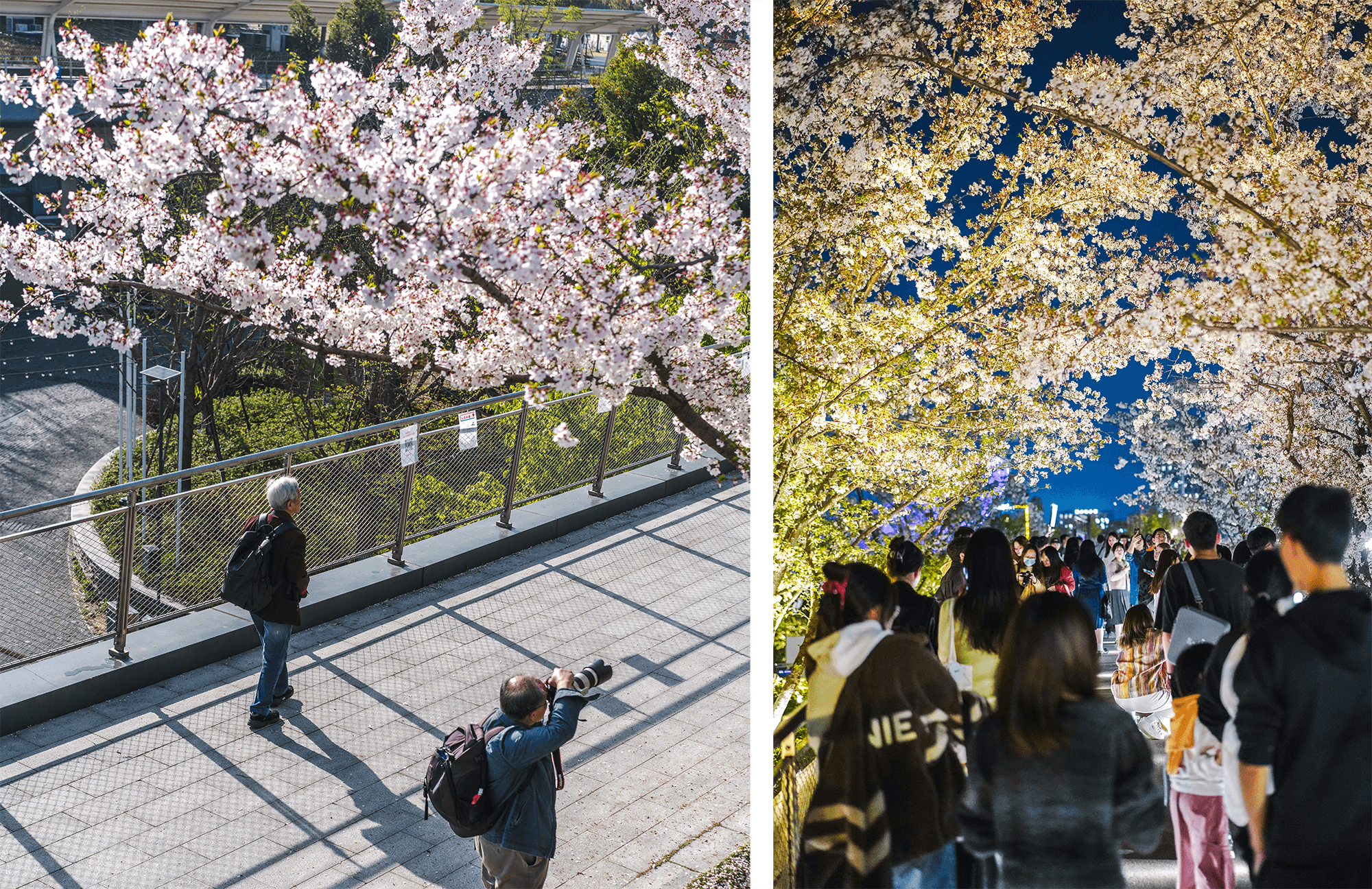 运河亚运公园 (拱墅区运河体育公园)丨中国杭州丨景观概念AECOM,景观深化杭州园林设计院等多家-72