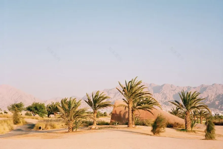 丨约旦丨Oppenheim Architecture-6