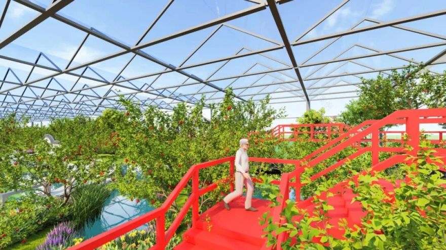 项目|枣庄市峄城区石榴智慧种植示范园-52