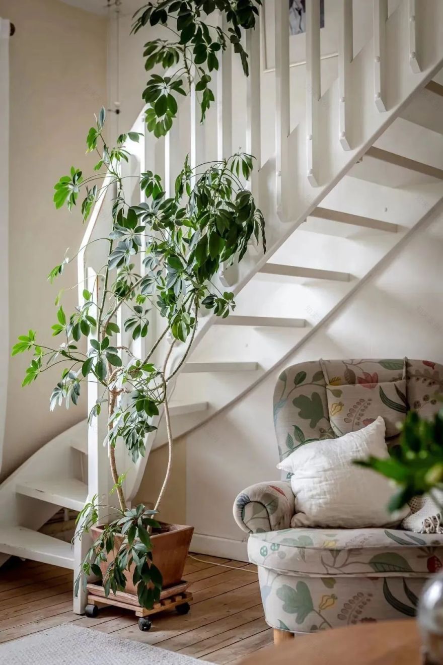 北欧风阁楼公寓-6