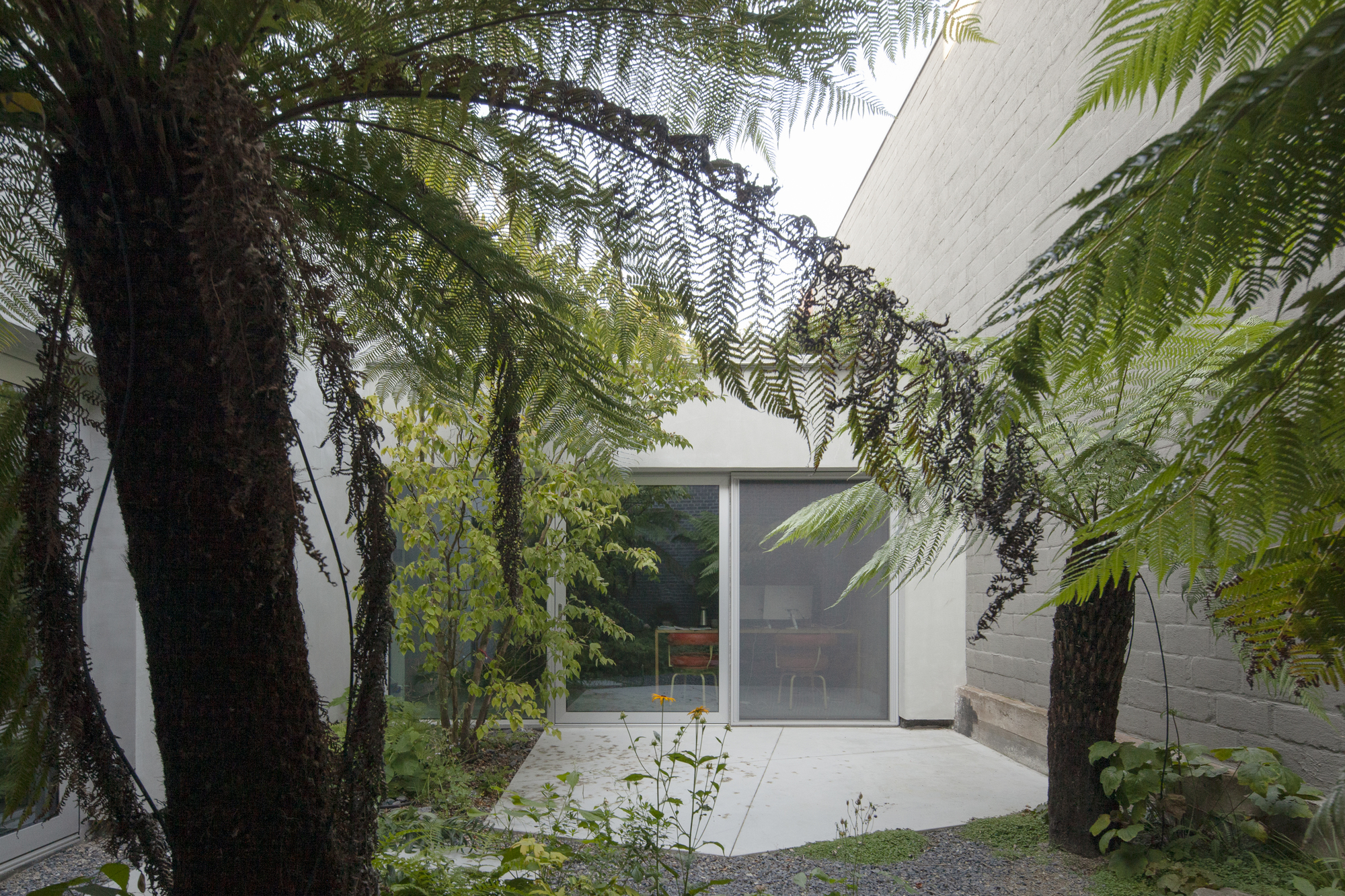 普卢姆之家丨比利时丨Delmulle Delmulle Architecten-14