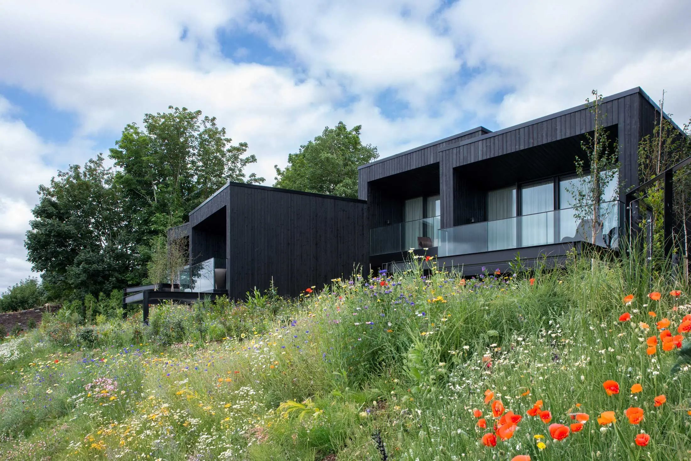 The Montenotte酒店林地套房丨爱尔兰科克丨Henry J Lyons建筑事务所,罗伊辛・拉弗蒂-0