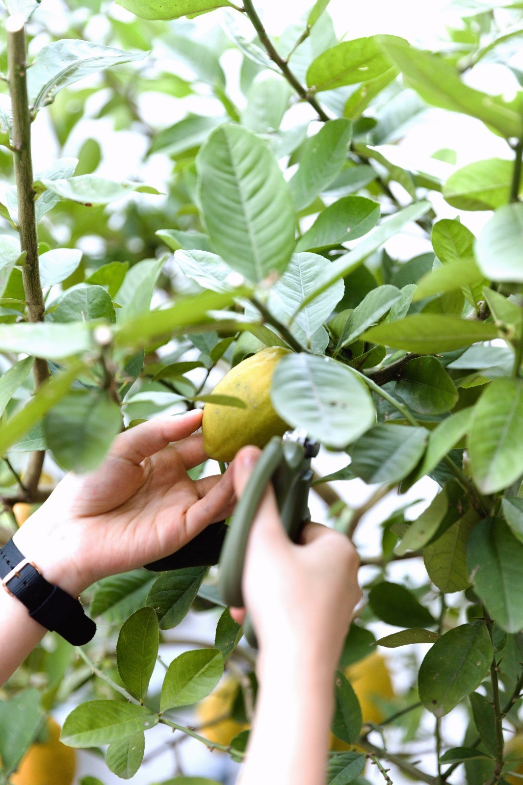 青城山房私人别墅-46