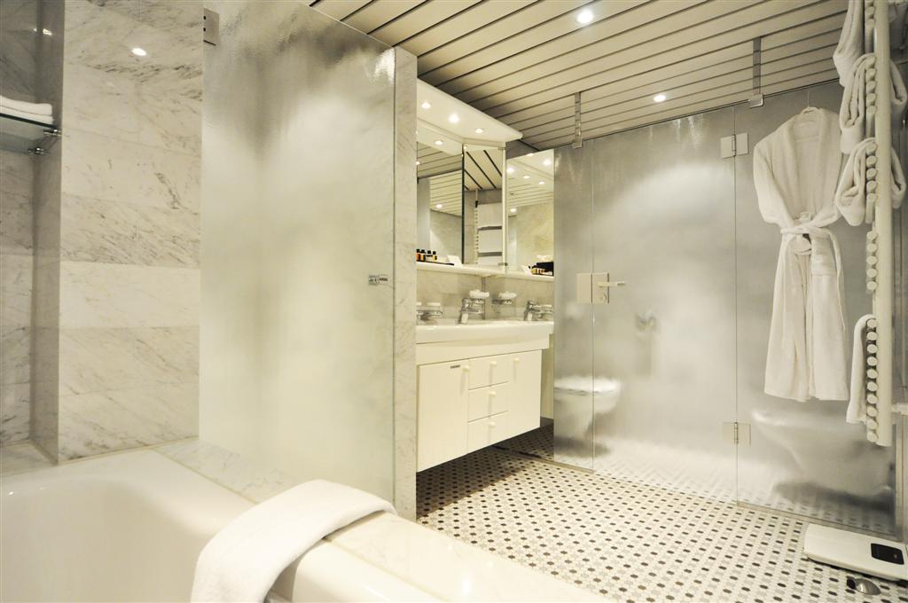 荷兰海牙皇冠假日酒店(摄影图片)-20