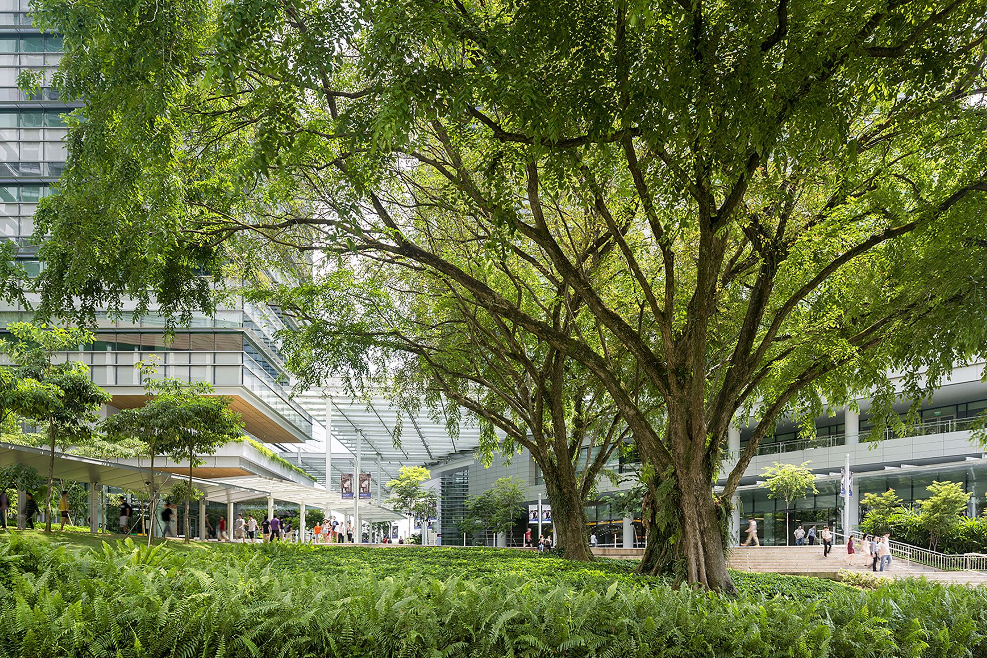 新加坡 CREATE 研究园区 | 绿色科研建筑的典范-26