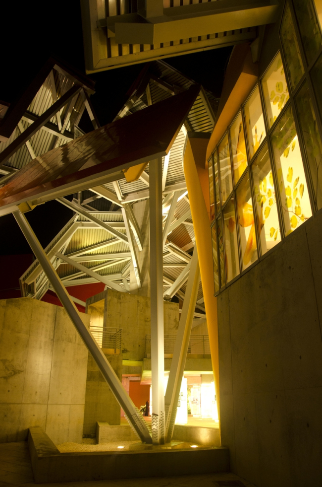 Biomuseo  生物多样性博物馆丨弗兰克·盖里（Frank Gehry）-52