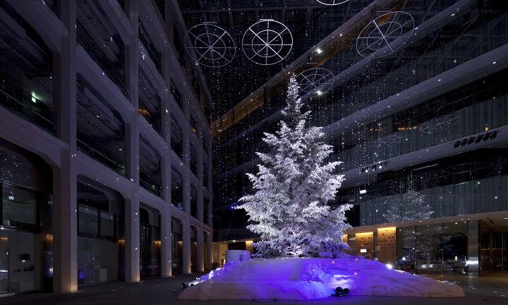 WHITE KITTE  Suppose Design-4