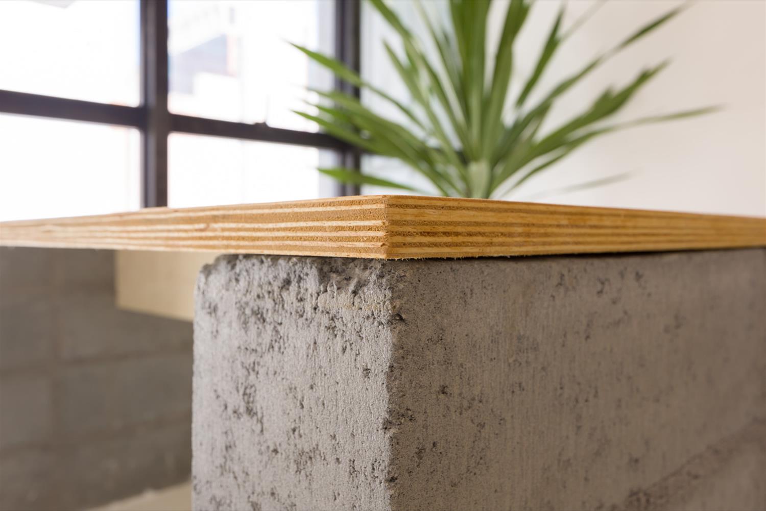 巴西 AE.digital 办公室 | 混凝土、木头与砖头的创意组合-4