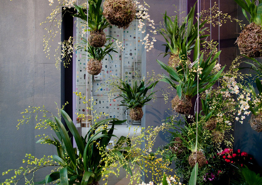 Fedor Van der Valk 打造室内绿洲 · 创意日本园林风格-17