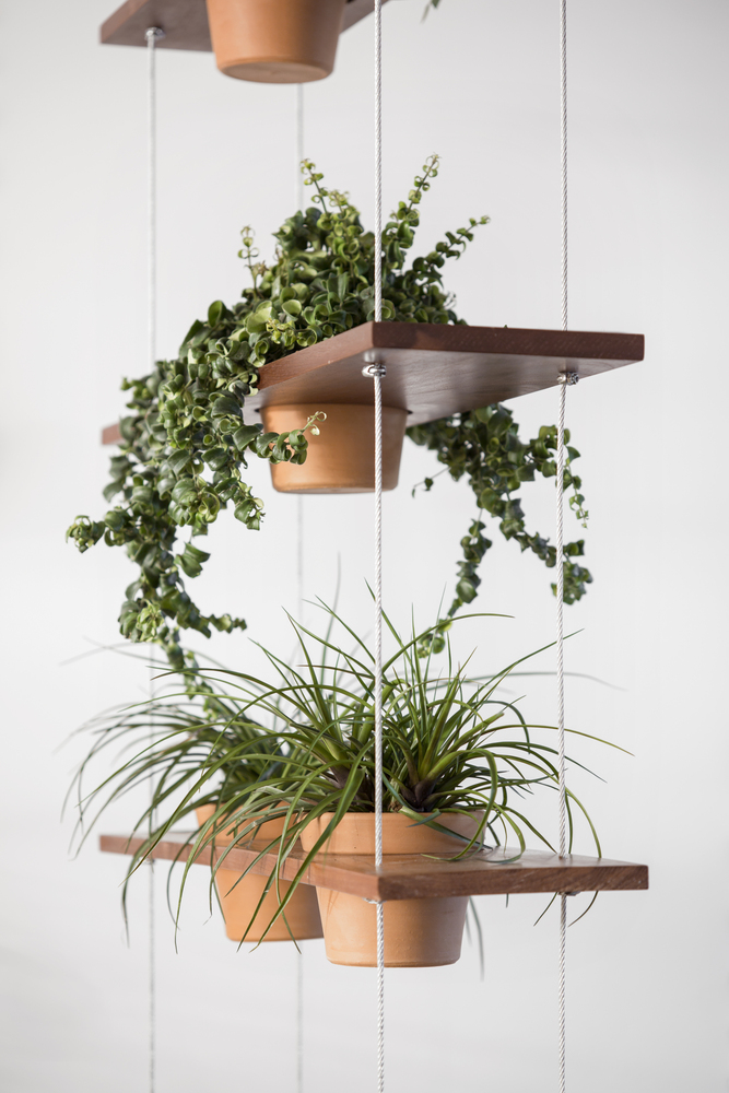 历史与现实融合的巴西 Vila Buarque 公寓翻新丨巴西圣保罗丨Mana arquitetura-37