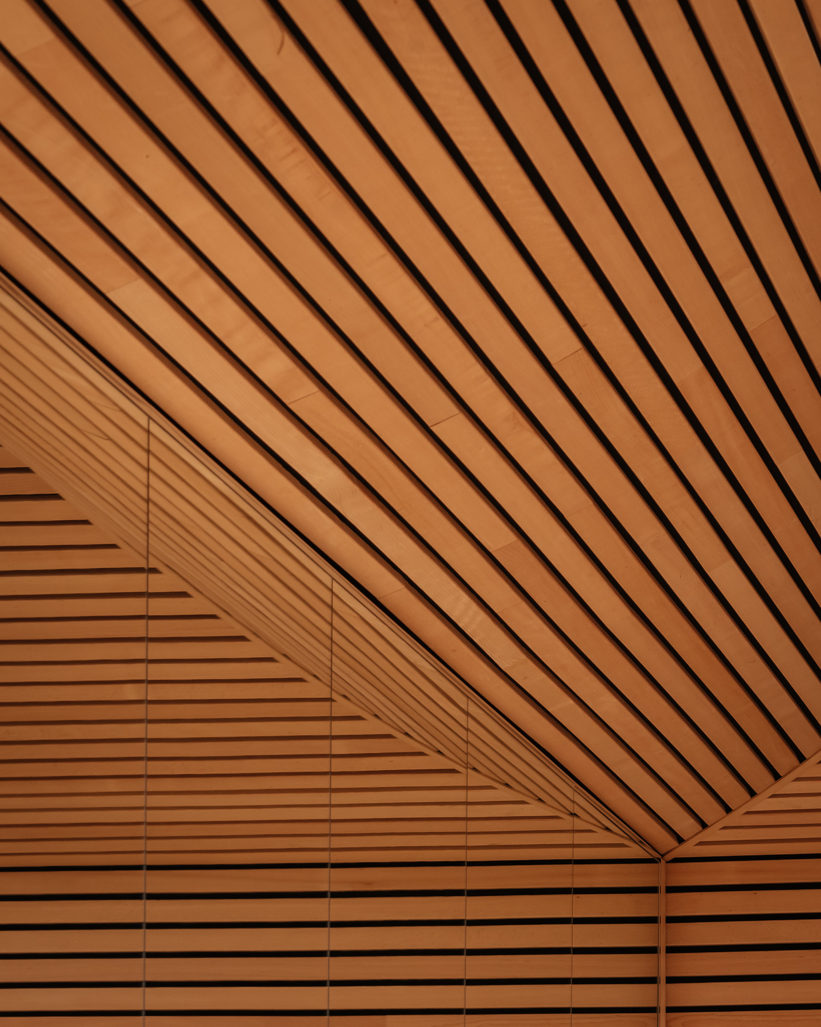 夯土瑜伽工作室丨英国丨Invisible Studio-39