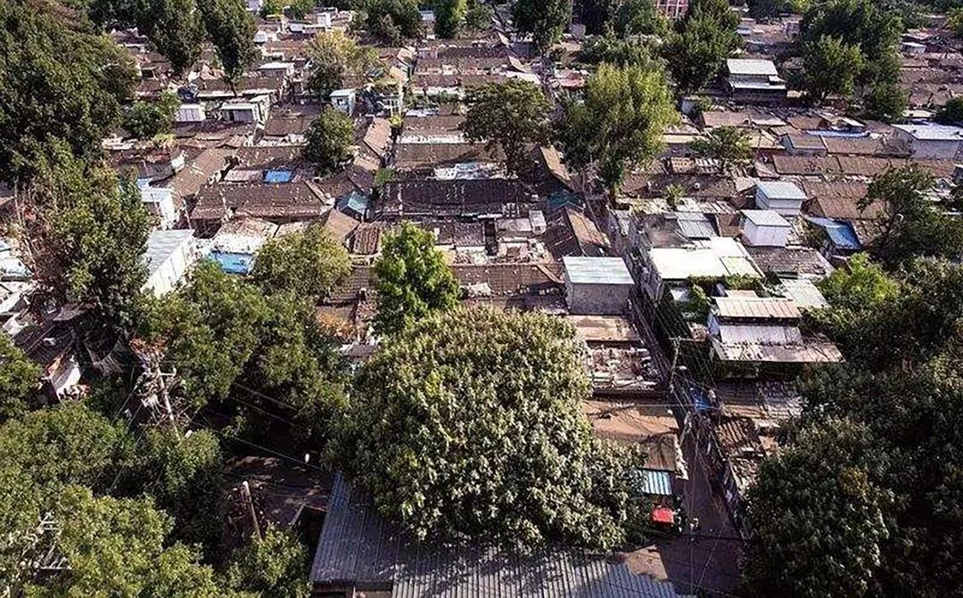 京韵望坛的涅槃重生 | 记中外园林望坛景观设计项目-10