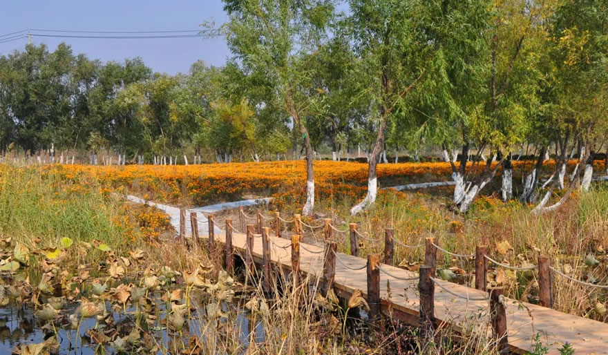 长春北湖国家湿地公园-23