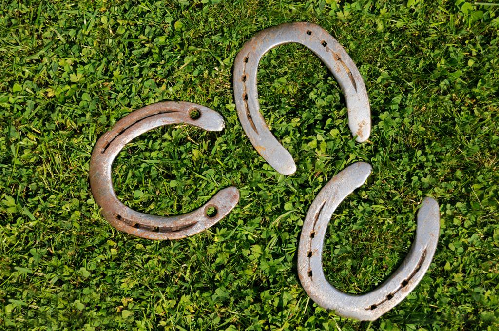 西交利物浦大学太仓校区 | 创新“状”结构,融合江南水乡特色-7