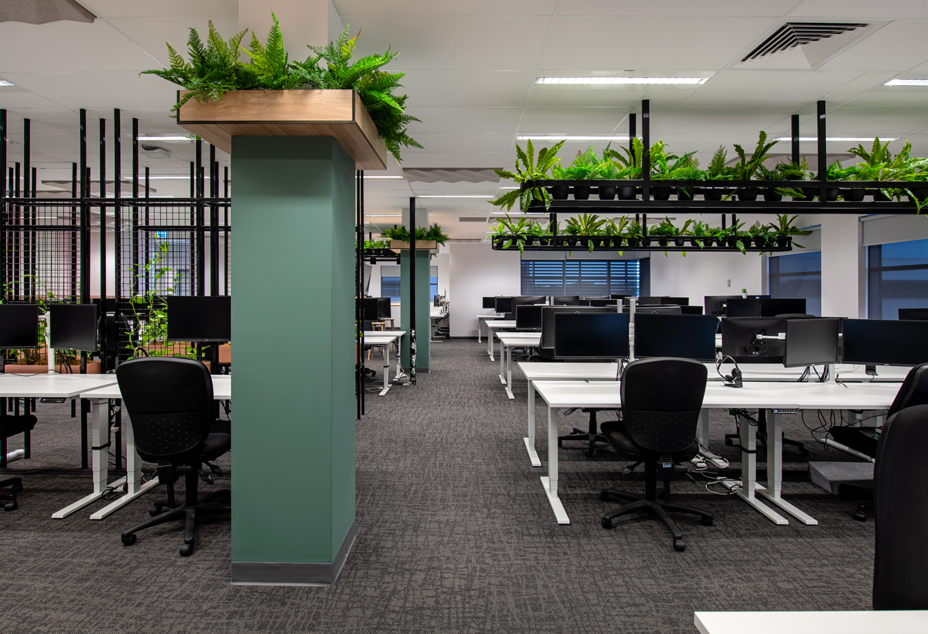 Aurecon Darwin Office | 自然元素融入现代办公空间-15