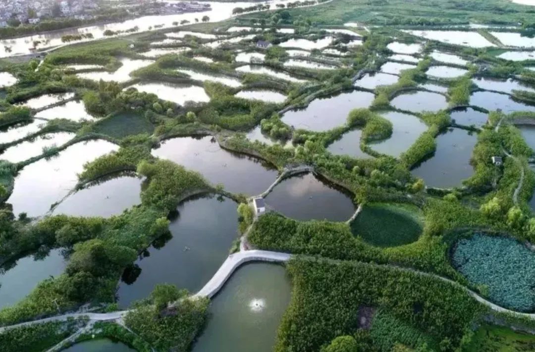 学宗自然·佛山一中顺德学校建设工程全过程设计国际招标丨中国佛山丨JOA开间建筑-8